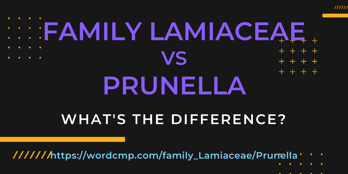 Difference between family Lamiaceae and Prunella