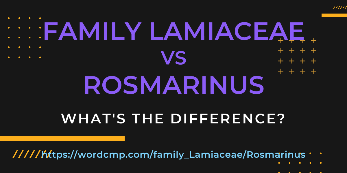 Difference between family Lamiaceae and Rosmarinus