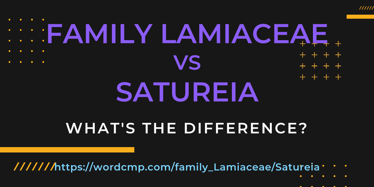 Difference between family Lamiaceae and Satureia