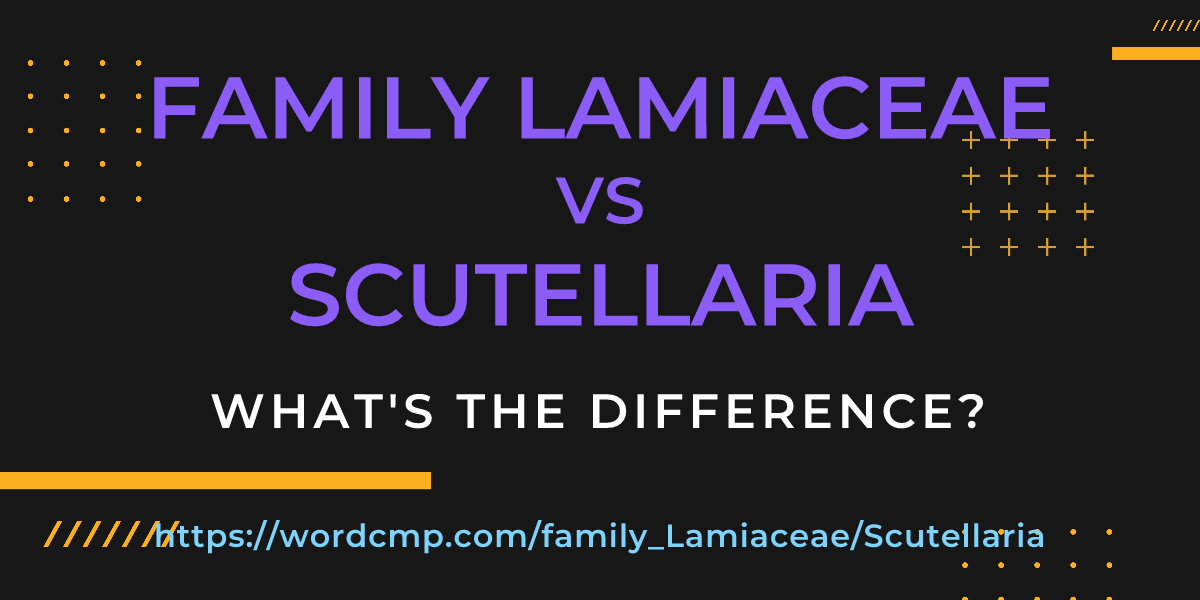 Difference between family Lamiaceae and Scutellaria
