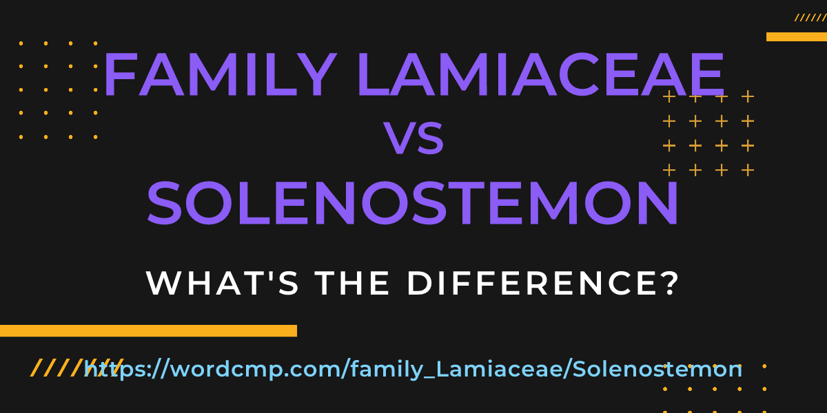 Difference between family Lamiaceae and Solenostemon