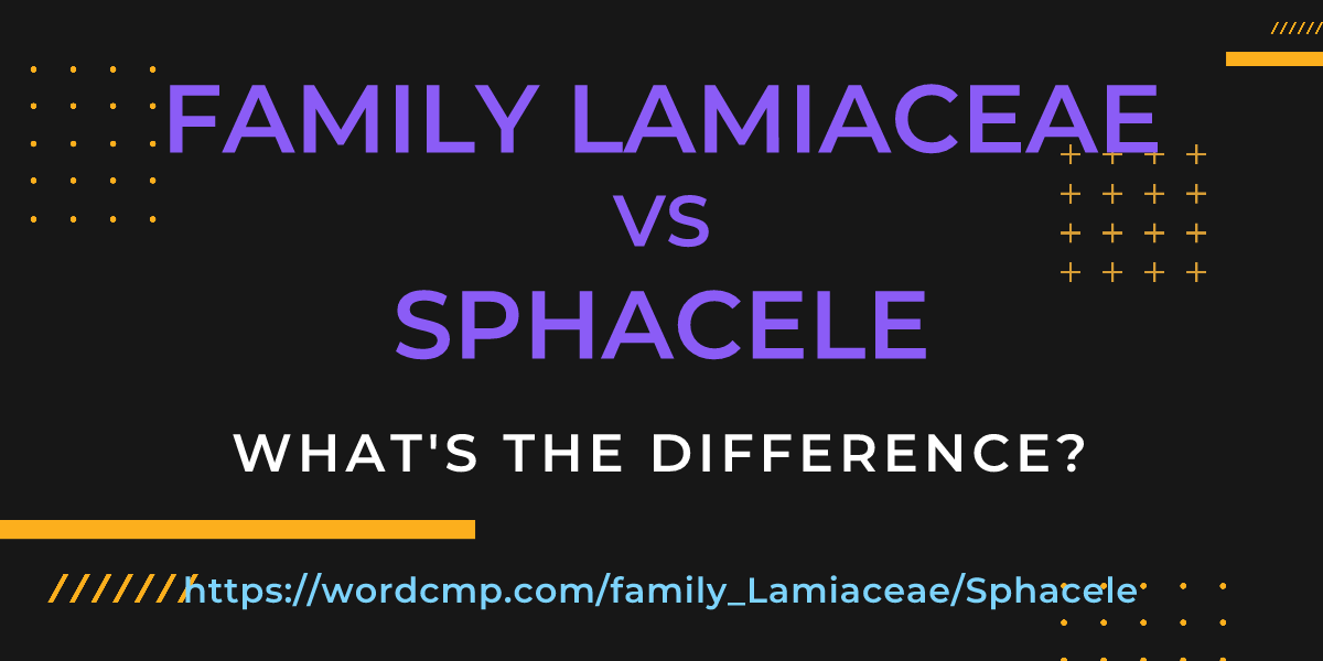 Difference between family Lamiaceae and Sphacele