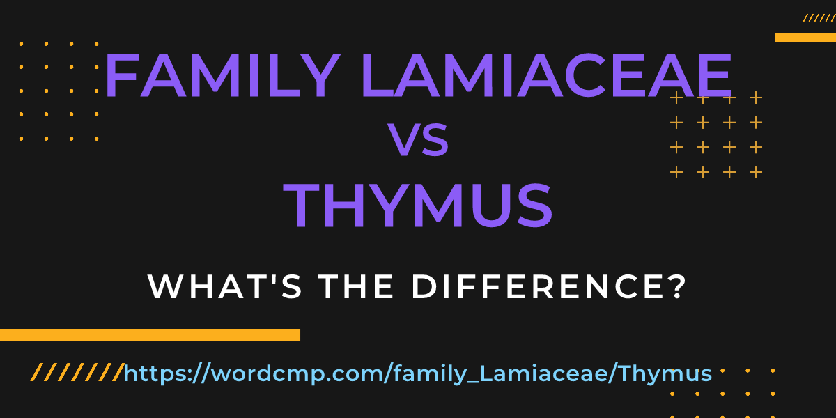 Difference between family Lamiaceae and Thymus