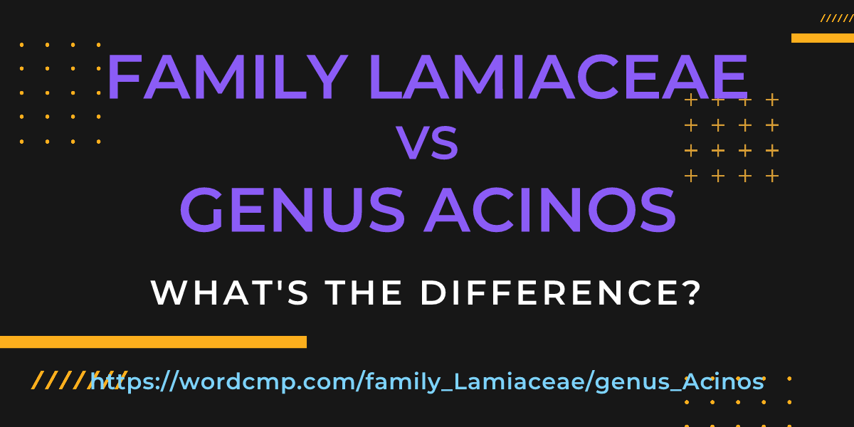 Difference between family Lamiaceae and genus Acinos