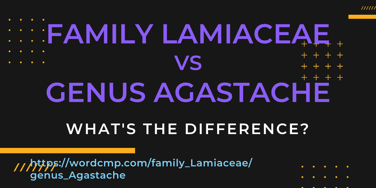 Difference between family Lamiaceae and genus Agastache