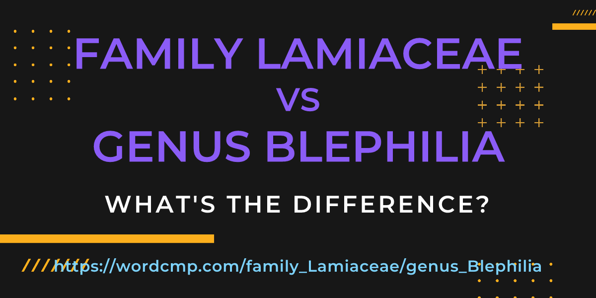 Difference between family Lamiaceae and genus Blephilia