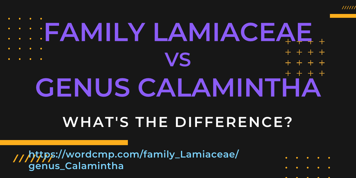 Difference between family Lamiaceae and genus Calamintha