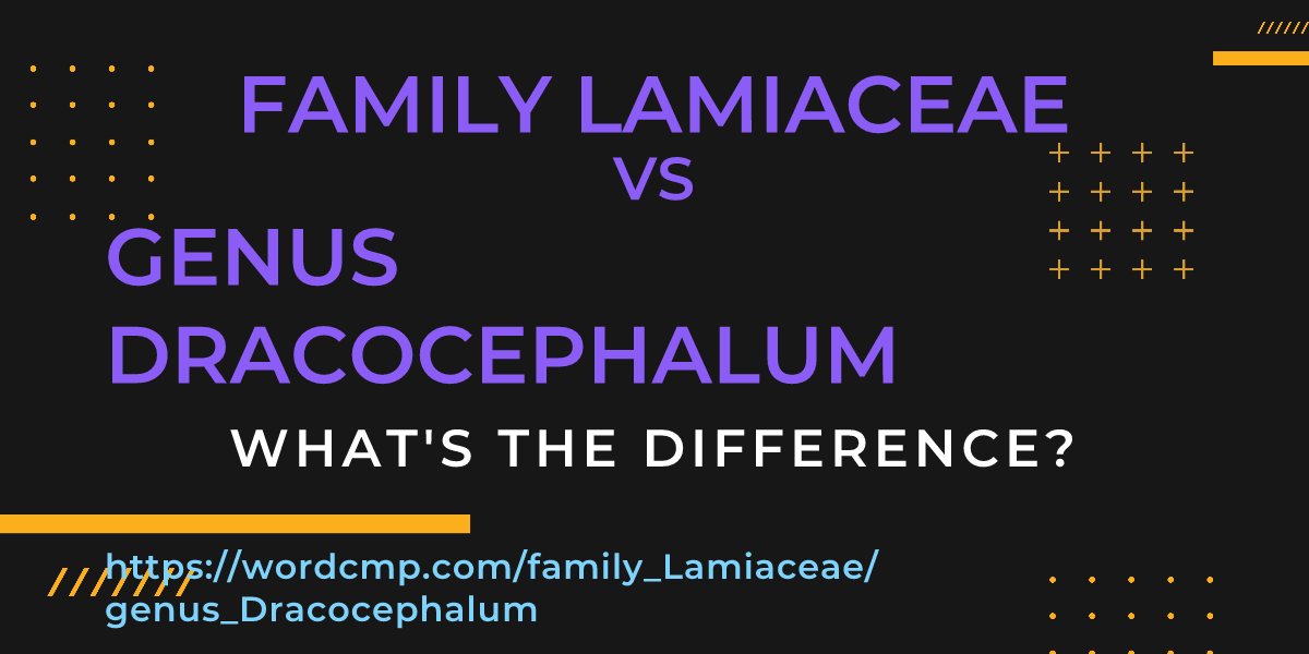 Difference between family Lamiaceae and genus Dracocephalum