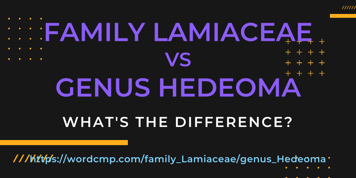 Difference between family Lamiaceae and genus Hedeoma