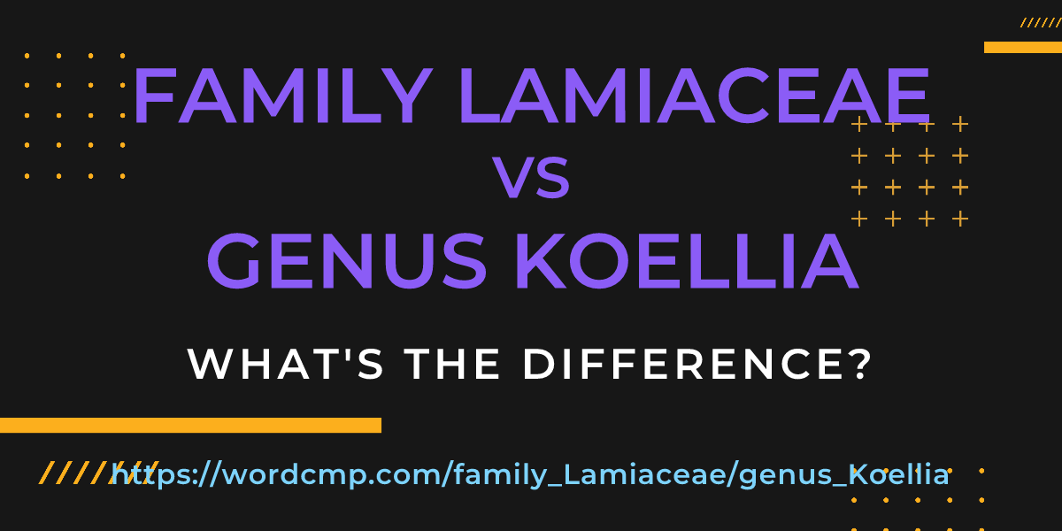 Difference between family Lamiaceae and genus Koellia