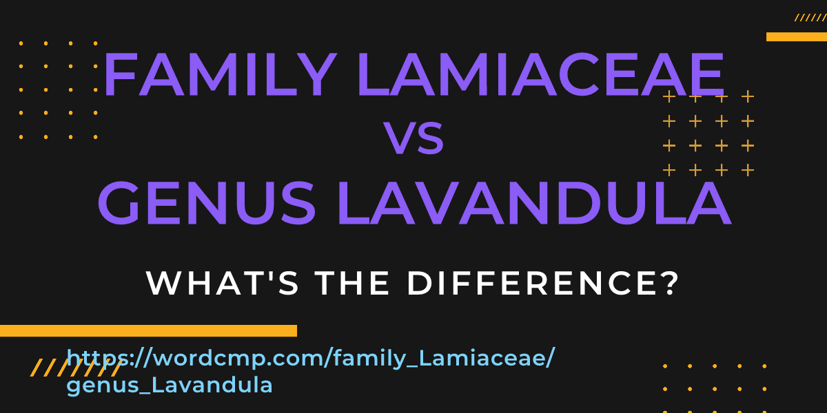 Difference between family Lamiaceae and genus Lavandula