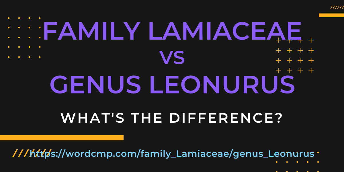 Difference between family Lamiaceae and genus Leonurus