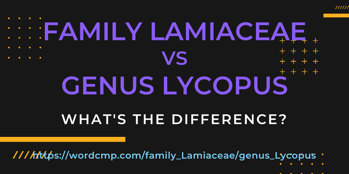Difference between family Lamiaceae and genus Lycopus