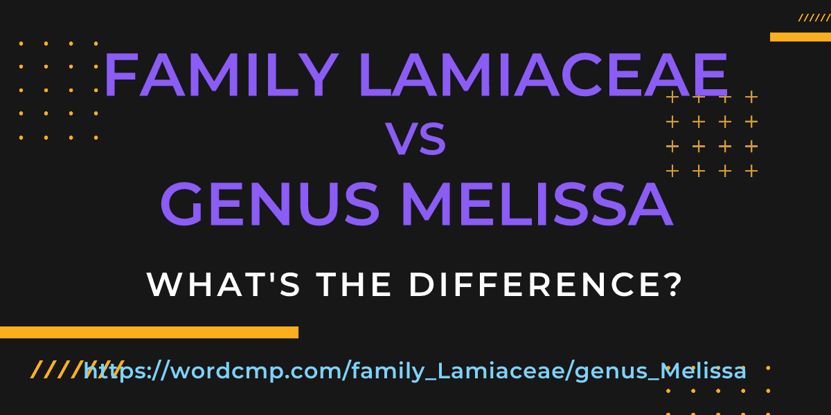 Difference between family Lamiaceae and genus Melissa