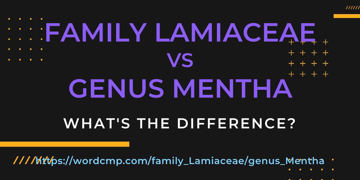 Difference between family Lamiaceae and genus Mentha