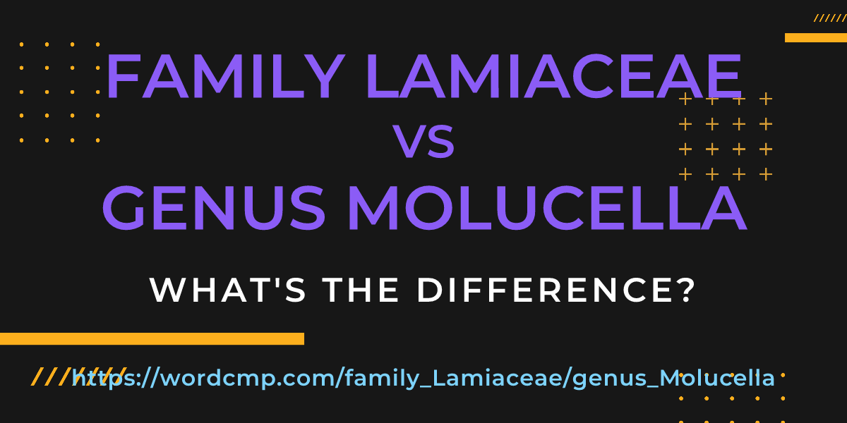 Difference between family Lamiaceae and genus Molucella