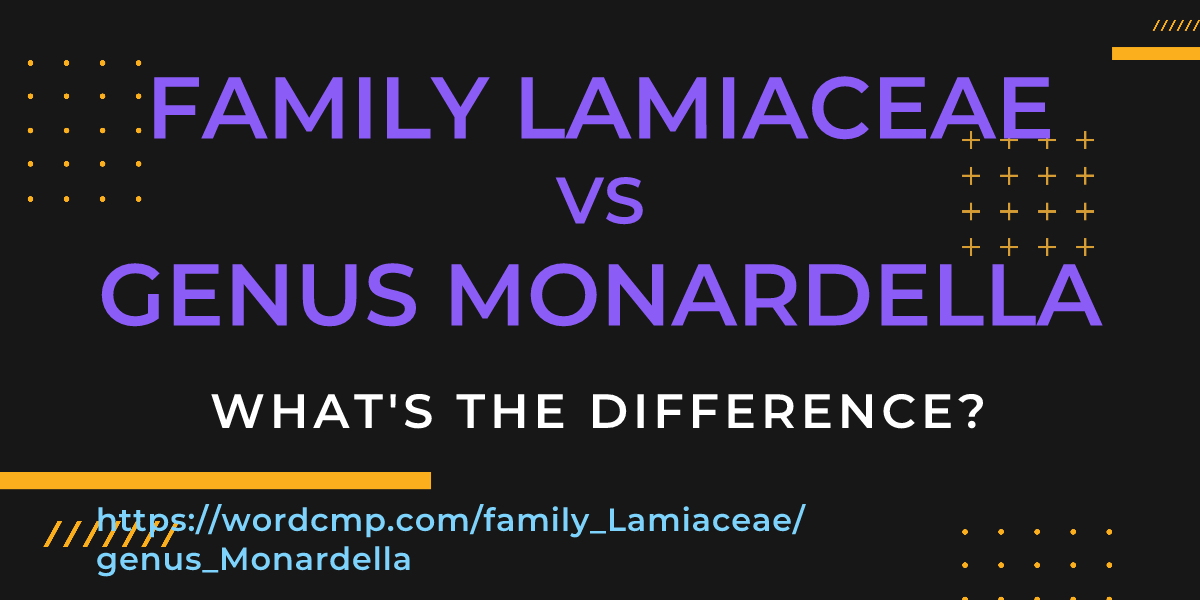 Difference between family Lamiaceae and genus Monardella