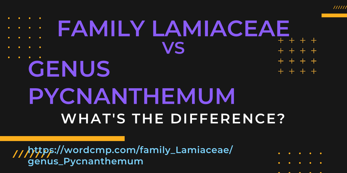 Difference between family Lamiaceae and genus Pycnanthemum
