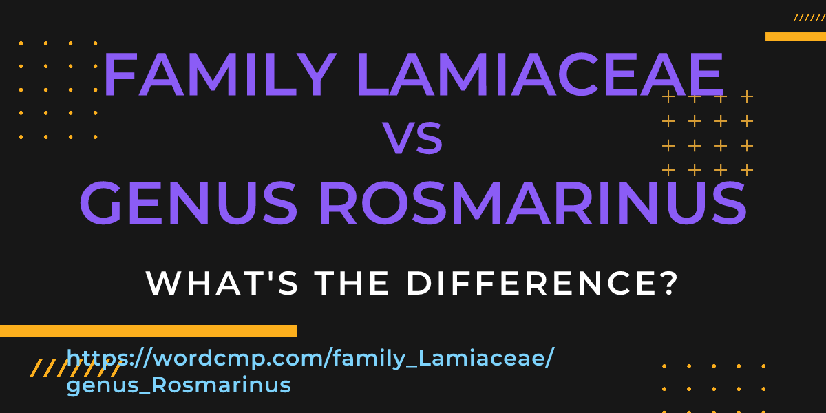 Difference between family Lamiaceae and genus Rosmarinus