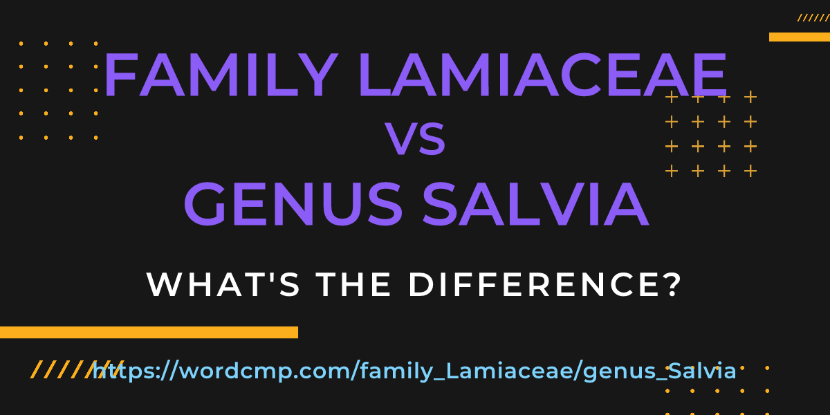 Difference between family Lamiaceae and genus Salvia