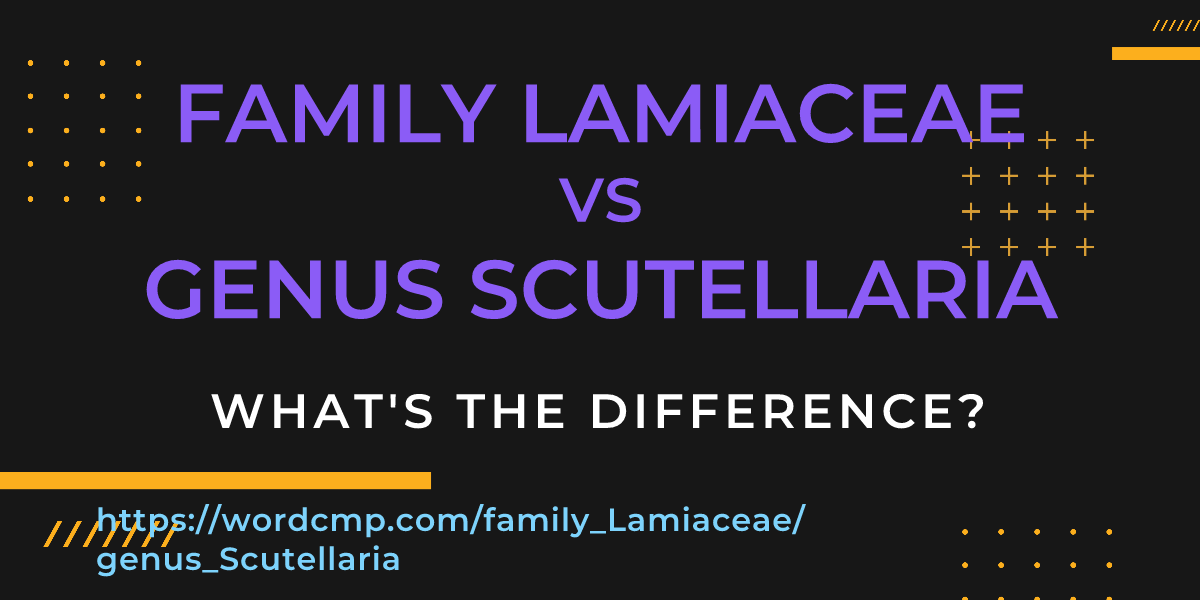 Difference between family Lamiaceae and genus Scutellaria