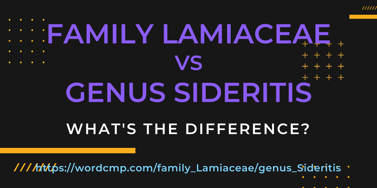 Difference between family Lamiaceae and genus Sideritis