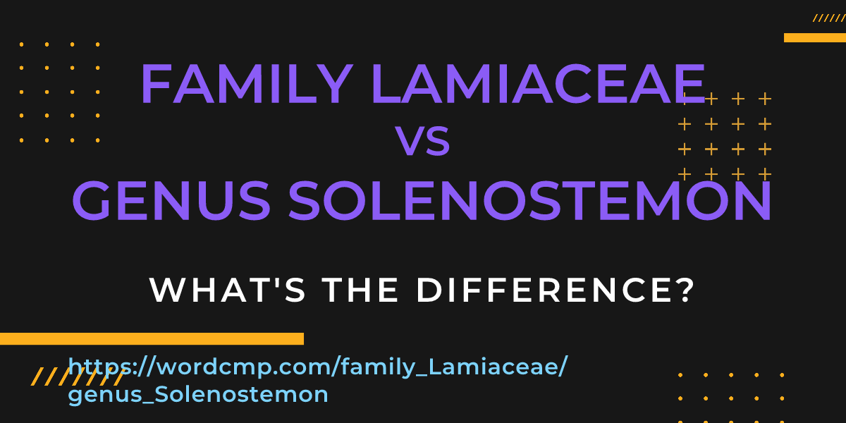 Difference between family Lamiaceae and genus Solenostemon
