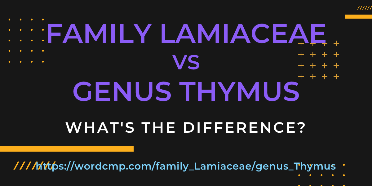 Difference between family Lamiaceae and genus Thymus