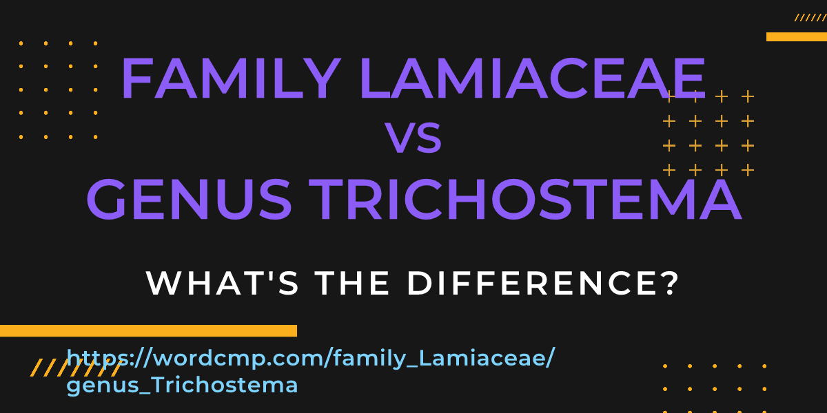 Difference between family Lamiaceae and genus Trichostema