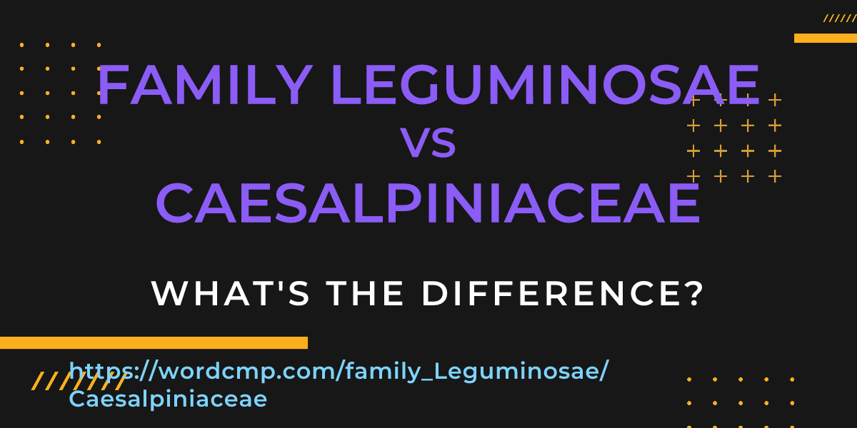 Difference between family Leguminosae and Caesalpiniaceae