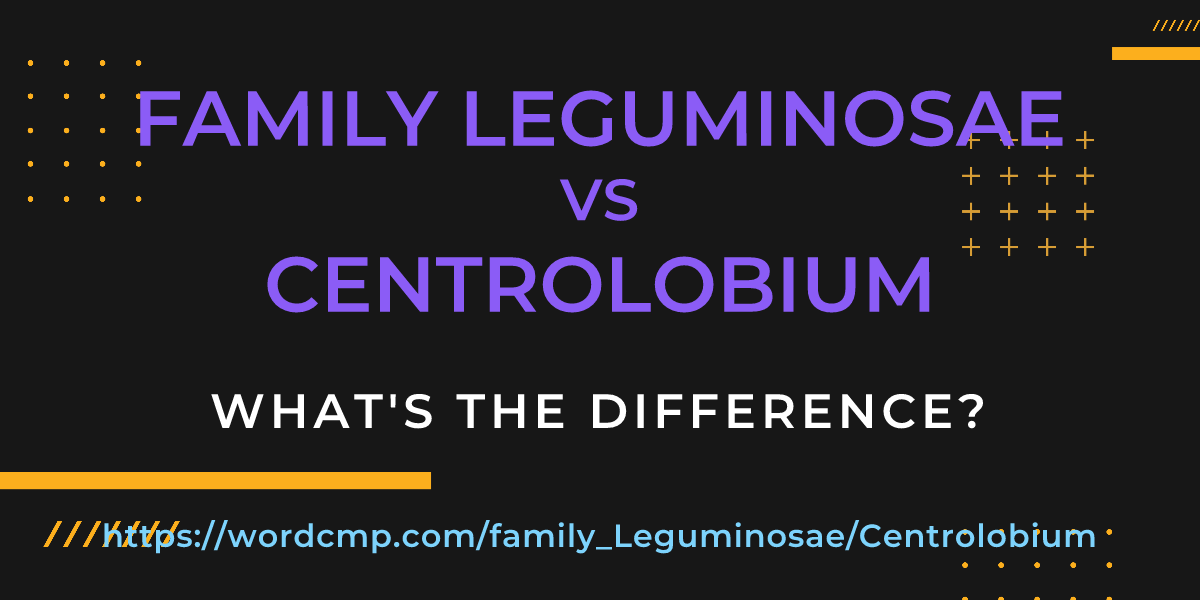 Difference between family Leguminosae and Centrolobium
