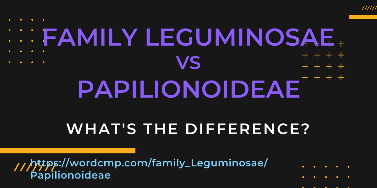 Difference between family Leguminosae and Papilionoideae
