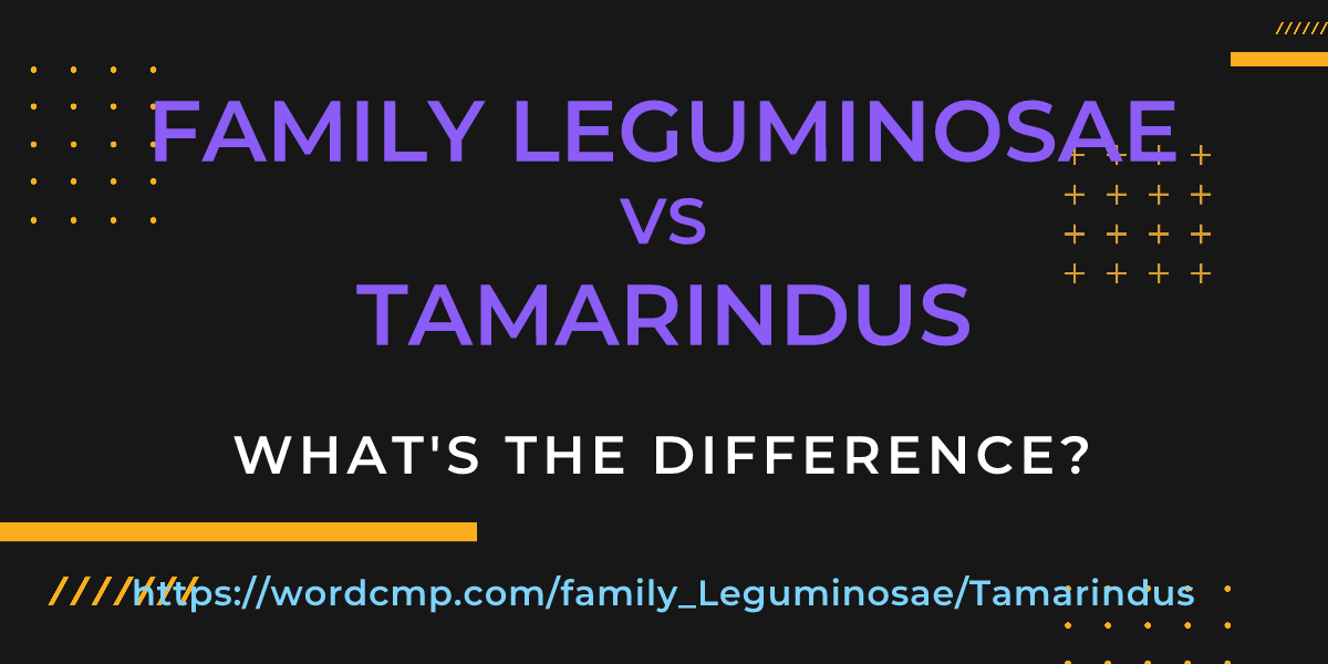 Difference between family Leguminosae and Tamarindus