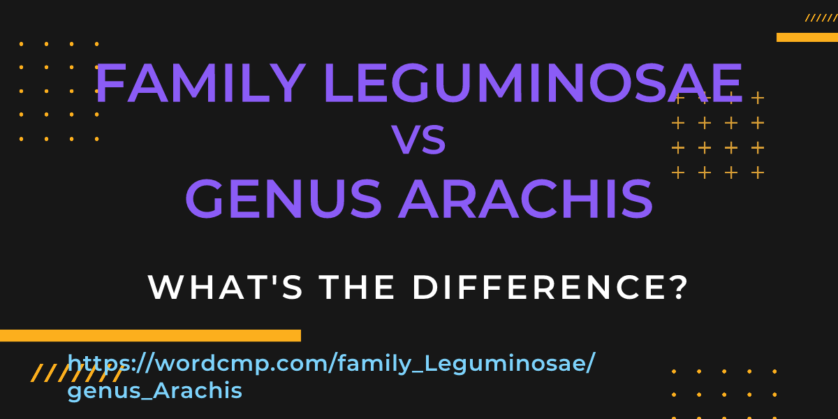 Difference between family Leguminosae and genus Arachis