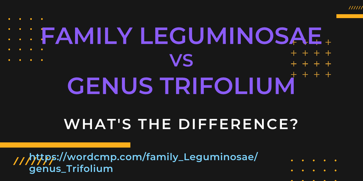 Difference between family Leguminosae and genus Trifolium