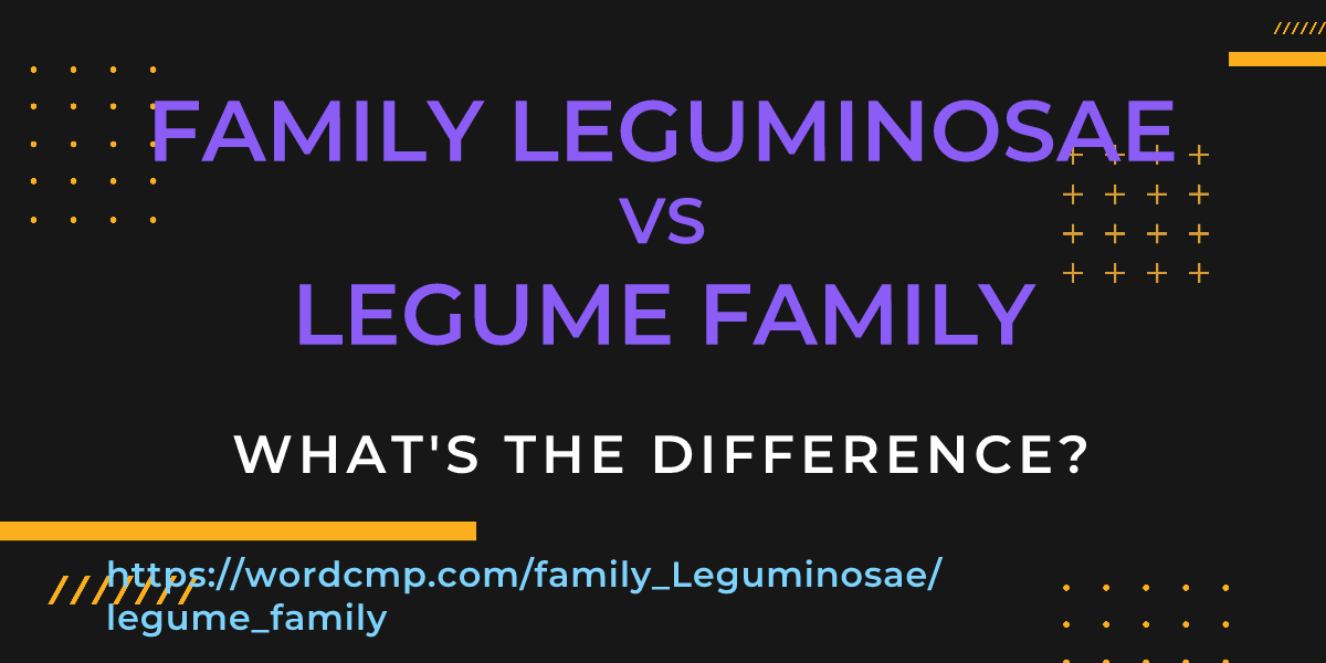 Difference between family Leguminosae and legume family