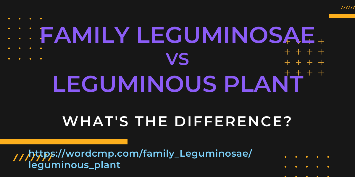 Difference between family Leguminosae and leguminous plant