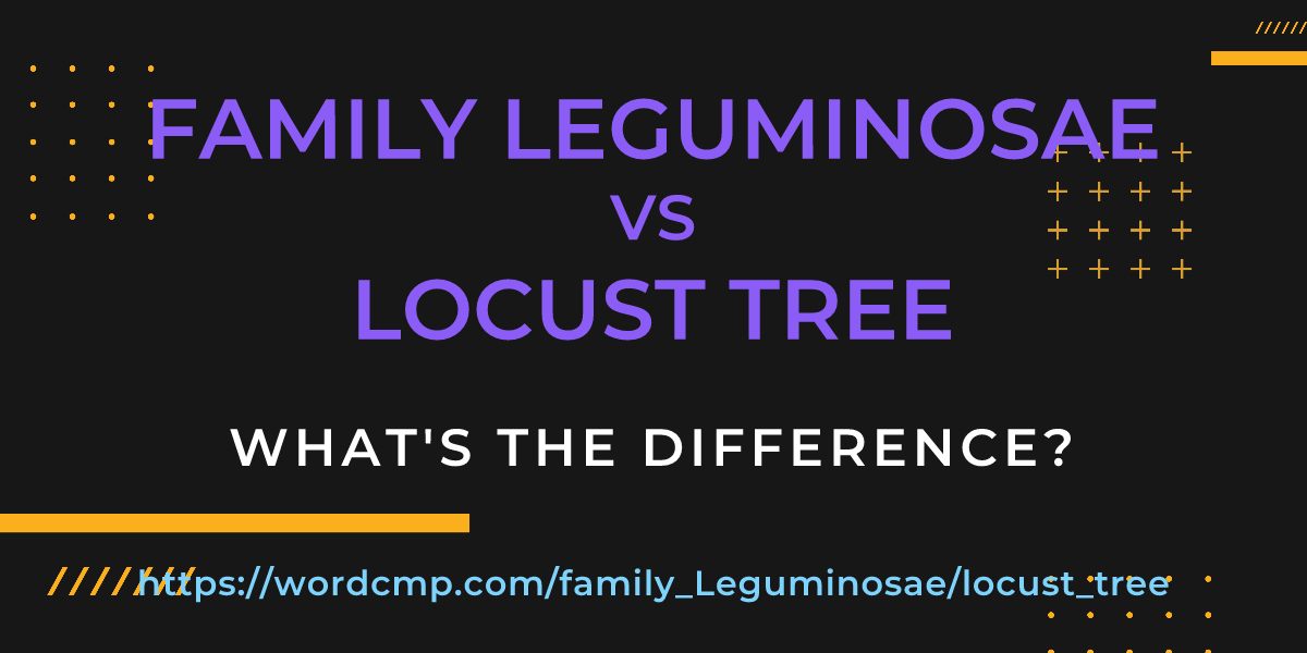 Difference between family Leguminosae and locust tree