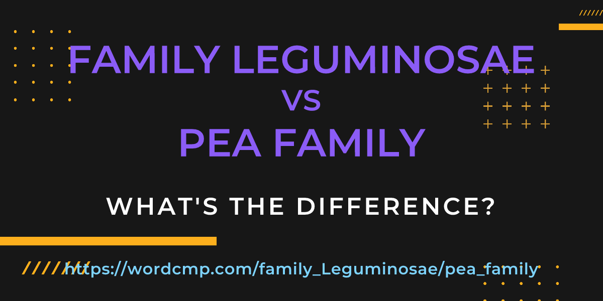 Difference between family Leguminosae and pea family