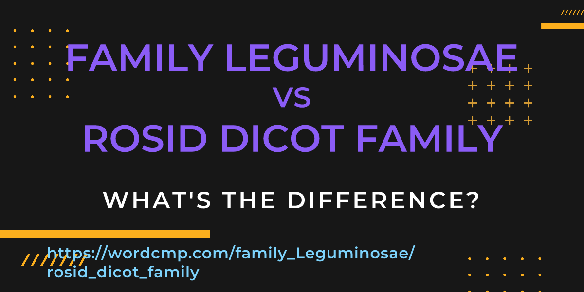 Difference between family Leguminosae and rosid dicot family