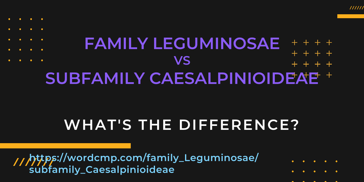 Difference between family Leguminosae and subfamily Caesalpinioideae