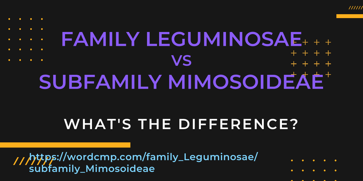 Difference between family Leguminosae and subfamily Mimosoideae