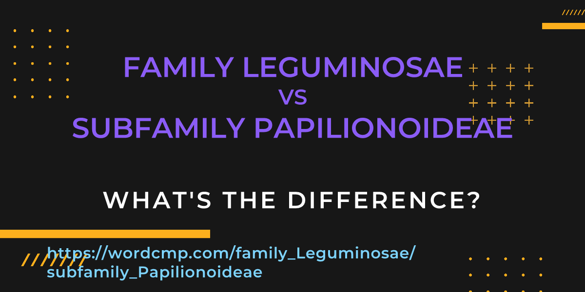 Difference between family Leguminosae and subfamily Papilionoideae