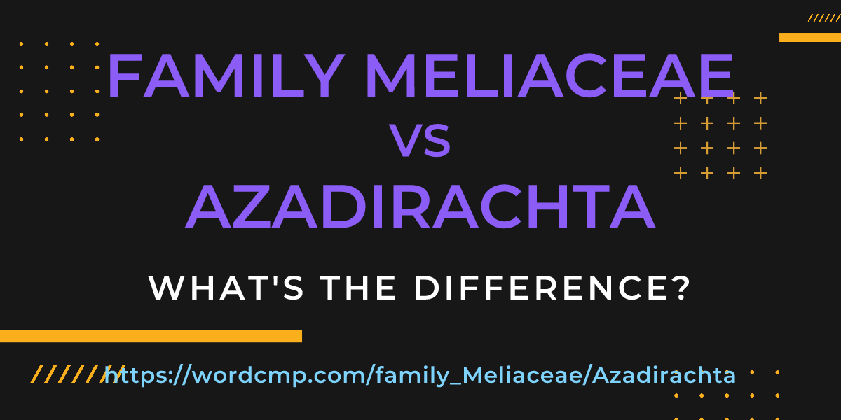 Difference between family Meliaceae and Azadirachta