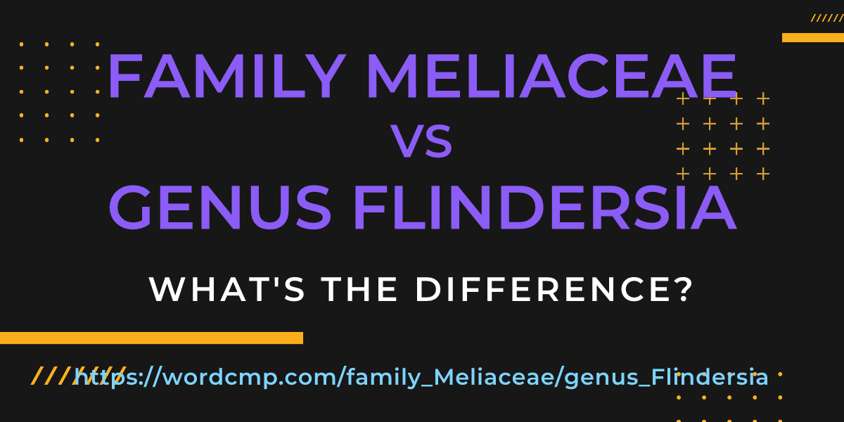 Difference between family Meliaceae and genus Flindersia
