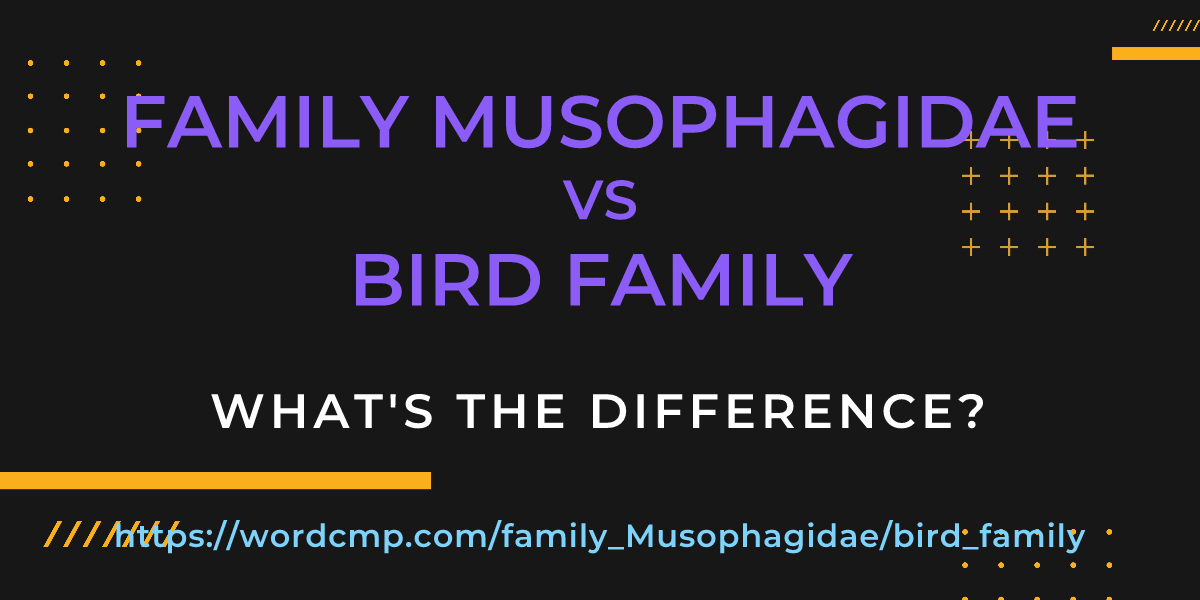 Difference between family Musophagidae and bird family