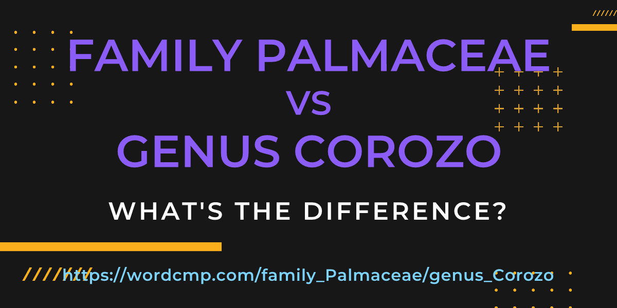 Difference between family Palmaceae and genus Corozo