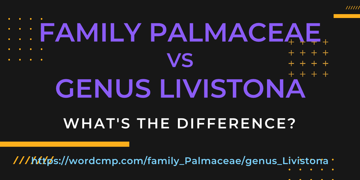 Difference between family Palmaceae and genus Livistona