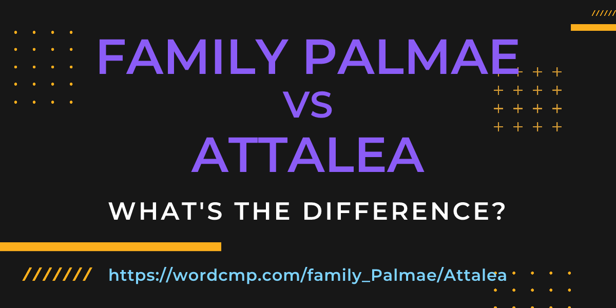 Difference between family Palmae and Attalea