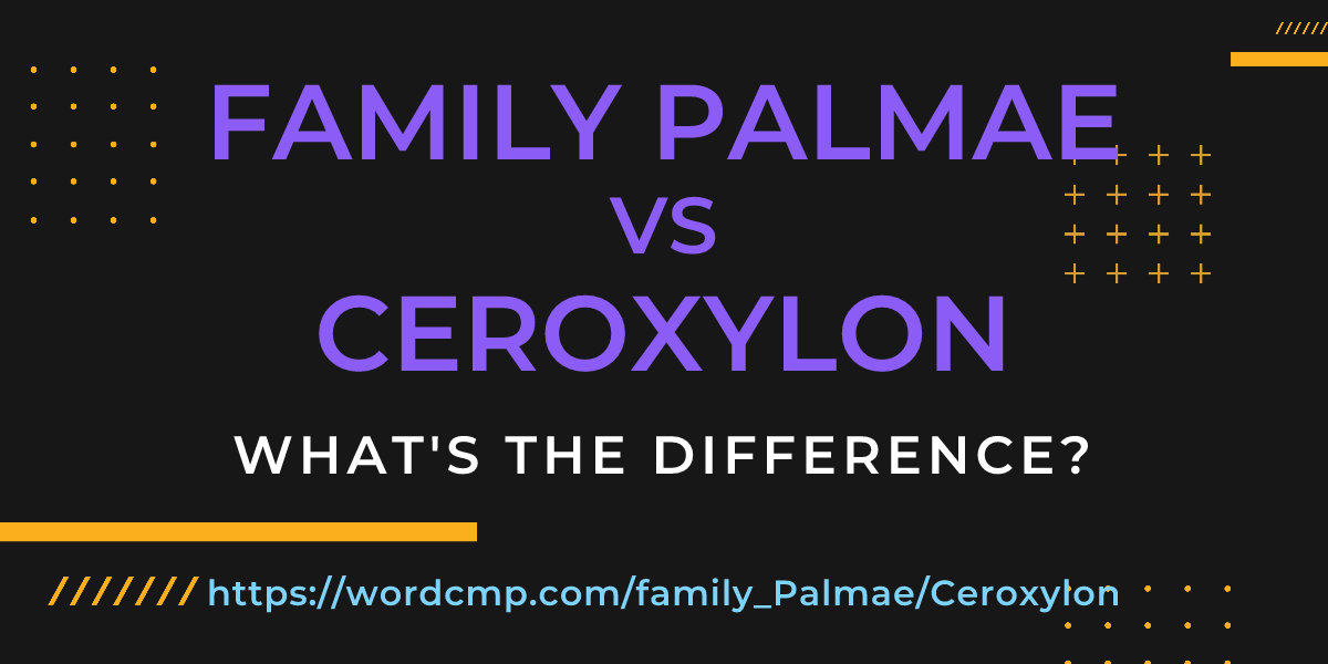 Difference between family Palmae and Ceroxylon